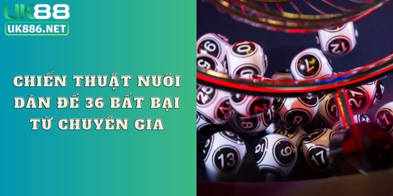 Chiến thuật nuôi dàn đề 36 bất bại từ chuyên gia