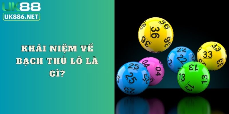 Khái niệm sơ lược về bạch thủ lô là gì?